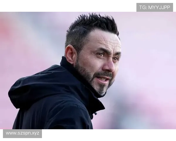 德泽尔比：即使判给我们也不会认为是点球